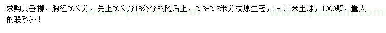 求購胸徑20公分黃垂柳