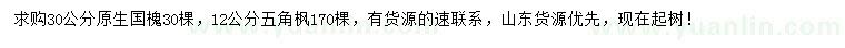 求購30公分國槐、12公分五角楓