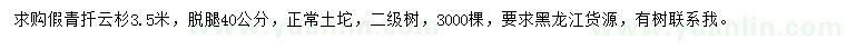 求購3.5米青扦云杉