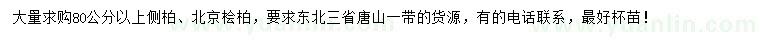 求購(gòu)80公分以上側(cè)柏、北京檜柏