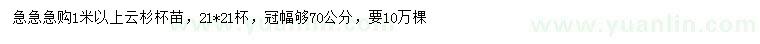 求購1米以上云杉