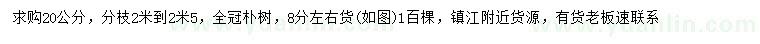 求購20公分樸樹