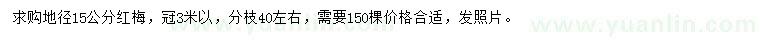 求購地徑15公分紅梅