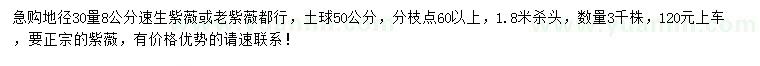 求購30量8公分速生紫薇或老紫薇