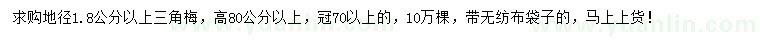 求購地徑1.8公分以上三角梅