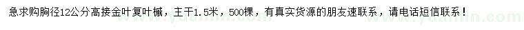 求購胸徑12公分金葉復葉槭