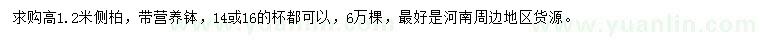 求購高1.2米側(cè)柏