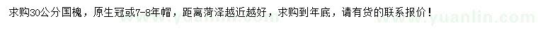 求購30公分國槐