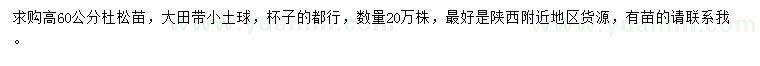求購(gòu)高60公分杜松
