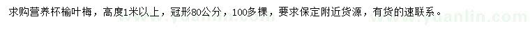 求購高1米以上榆葉梅