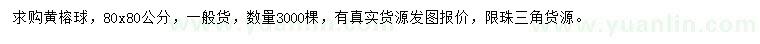 求購80*80公分黃榕球