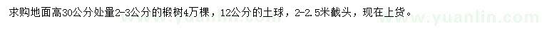 求購(gòu)30量2-3公分椴樹