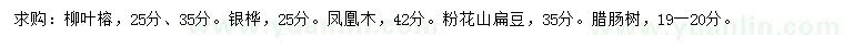 求購(gòu)柳葉榕、銀樺、鳳凰木等