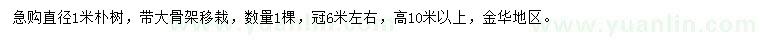 求購直徑1米樸樹