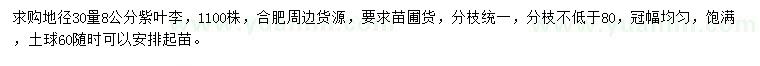 求購地徑30量8公分紫葉李