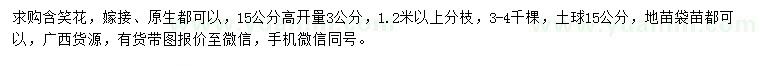 求購15公分量3公分含笑花