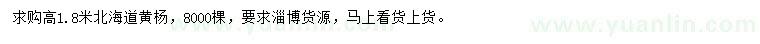 求購高1.8米北海道黃楊