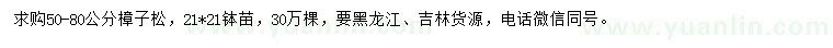 求購50-80公分樟子松