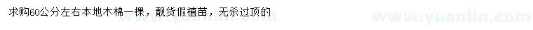 求購60公分左右木棉
