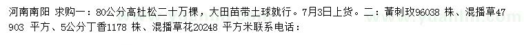 求購80公分高杜松