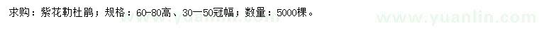 求購高60-80紫花勒杜鵑