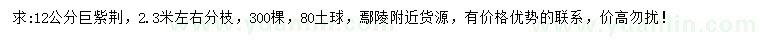 求購12公分巨紫荊