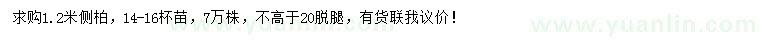 求購1.2米側(cè)柏