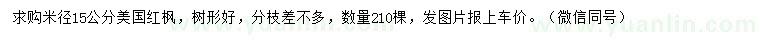 求購米徑15公分美國紅楓