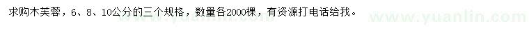 求購(gòu)6、8、10公分木芙蓉