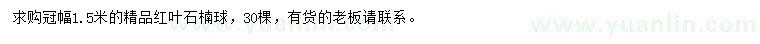 求購冠幅1.5米紅葉石楠