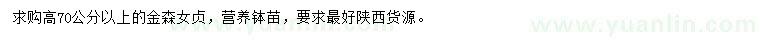 求購高70公分以上金森女貞