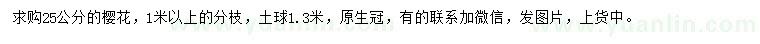 求購25公分櫻花