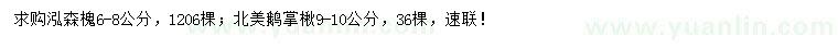 求購6-8公分泓森槐、9-10公分北美鵝掌楸