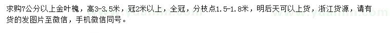 求購7公分以上金葉槐