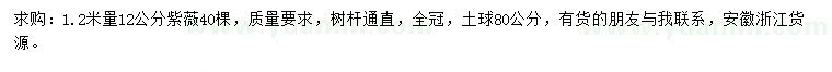 求購1.2米量12公分紫薇