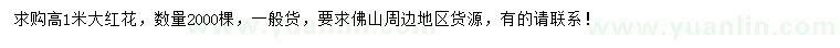 求購高1米大紅花
