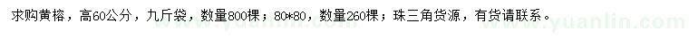求購高60、80公分黃榕