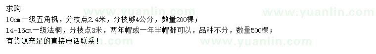 求購10公分五角楓、14-15公分法桐
