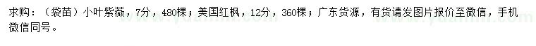 求購7公分小葉紫薇、12公分美國紅楓