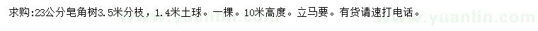 求購23公分皂角樹