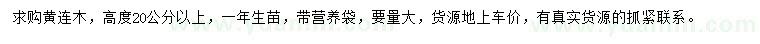 求購(gòu)高20公分以上黃連木