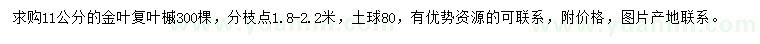 求購11公分金葉復(fù)葉槭