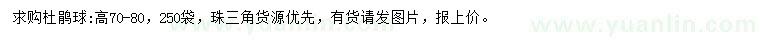 求購高70-80公分杜鵑球