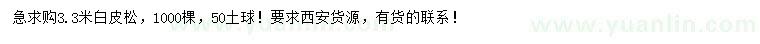 求購(gòu)3.3米白皮松