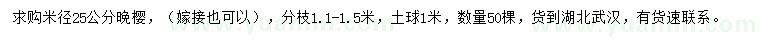 求購米徑25公分晚櫻