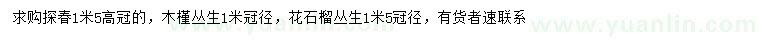 求購探春、木槿、花石榴