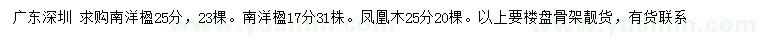 求購17、25公分南洋楹、25公分鳳凰木