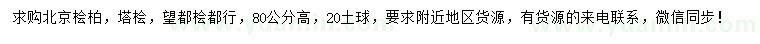 求購北京檜柏、塔檜、望都檜