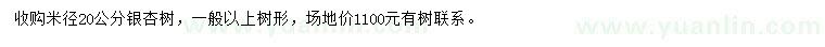 求購(gòu)米徑20公分銀杏