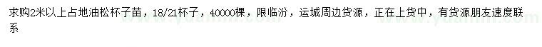 求購2米以上油松